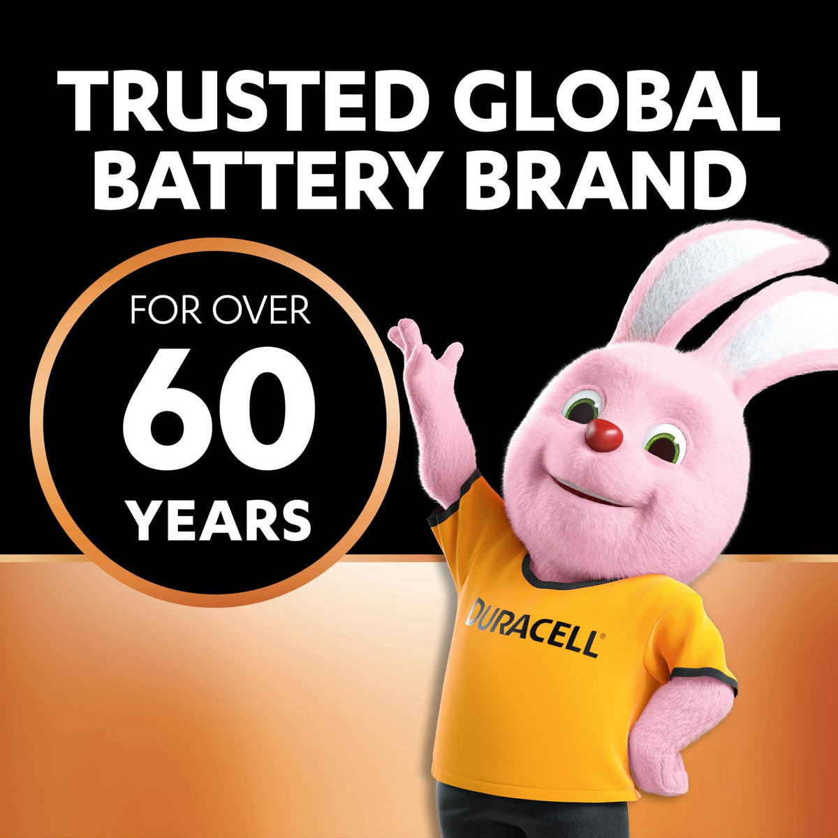 Duracell Coppertop Alkaline AA Batteries - 20 Pack [Authorized Duracell Reseller]